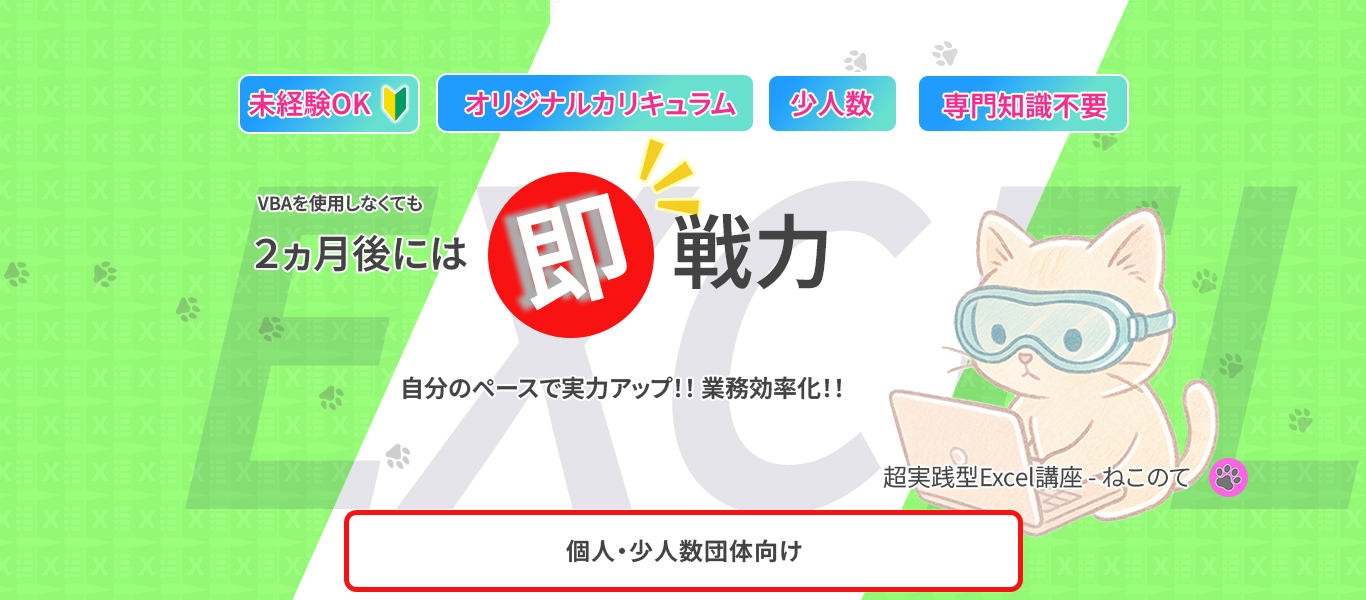 超実践型Excel講座 ねこのて 未経験OK・専門知識不要・少人数・オリジナルカリキュラム VBAを使用しなくても2ヶ月後には即戦力 個人・少人数団体向け